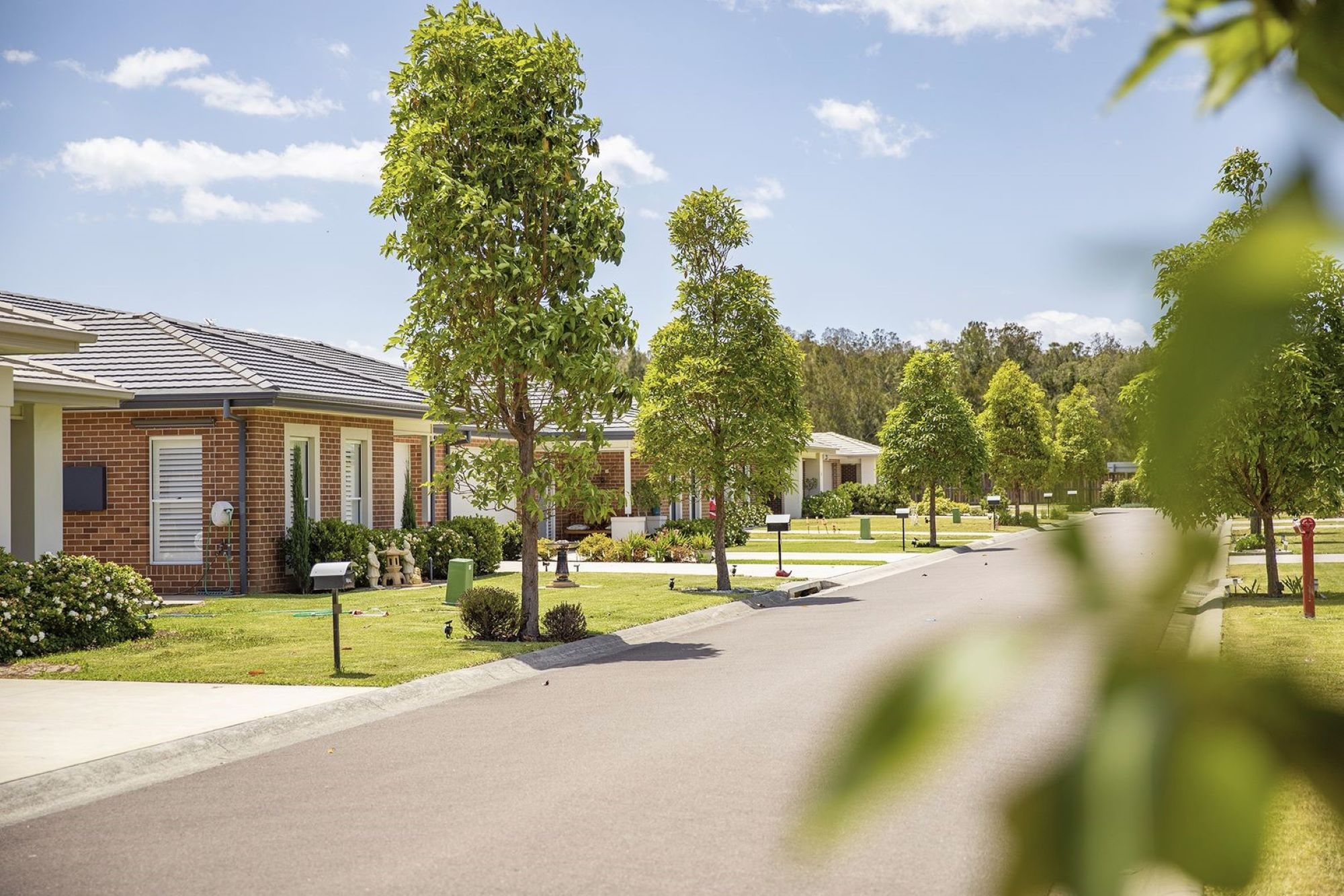 2013171844_53_1_221224_094618-w2000-h1334