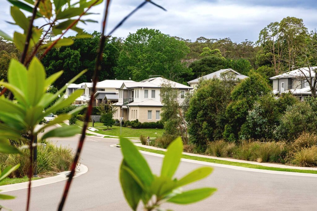 Ringal Valley Estate